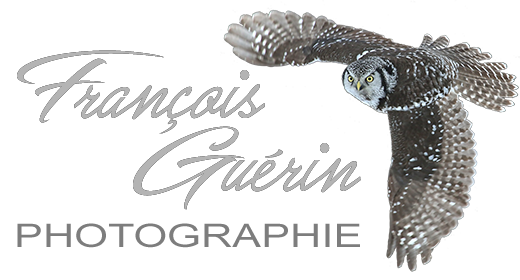 François Guérin Photographie